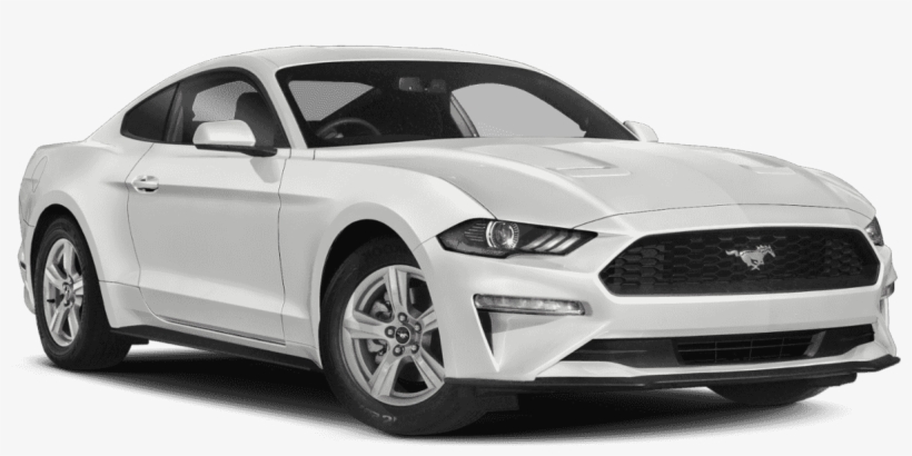 New 2019 Ford Mustang Ecoboost - New Mustang, transparent png #3257509