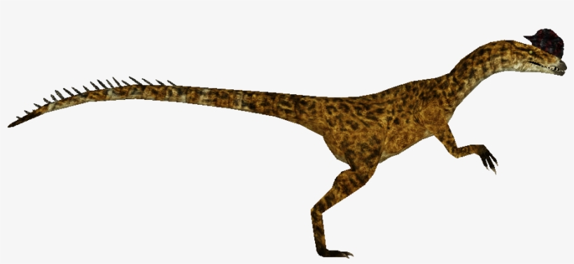 Dilophosaurus, transparent png #3257798