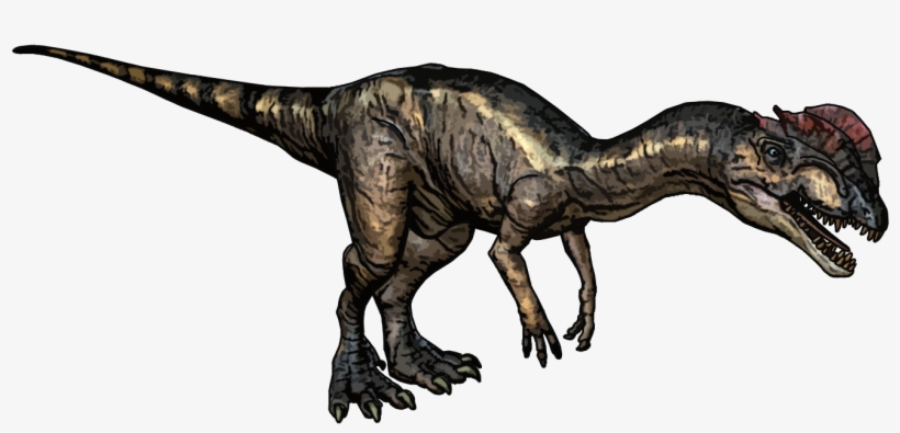 Dila - Orion Dino Horde Dilophosaurus, transparent png #3257802