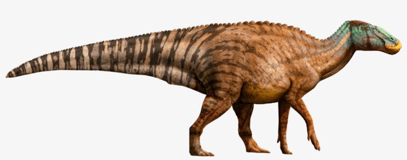 Edmontosaurus - Jurassic World Edmontosaurus, transparent png #3258152