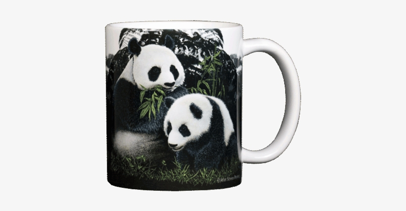 At003 Pandas Bk Mug - Mug, transparent png #3258178