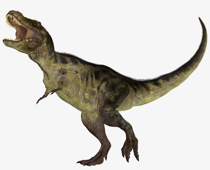 When Dinosaurs Roamed - Dinosaurs Small, transparent png #3258256