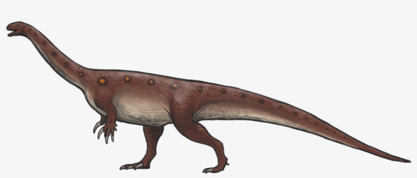 Massospondylus Reconstruction - Massospondylus, transparent png #3258278