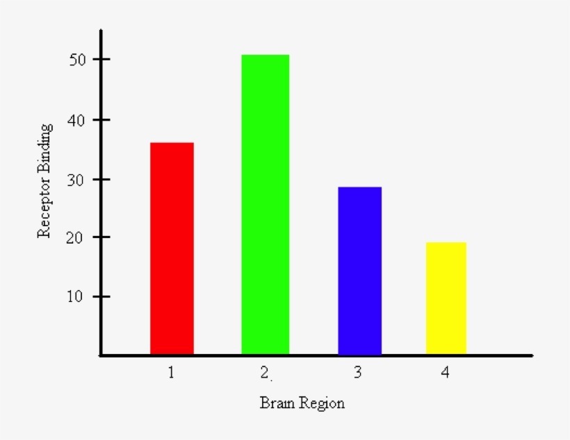 Bar Graph Representing The Amount Of Receptor Binding - Bar Chart, transparent png #3259298