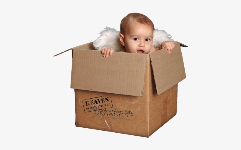 Baby In Shipping Box, transparent png #3260295