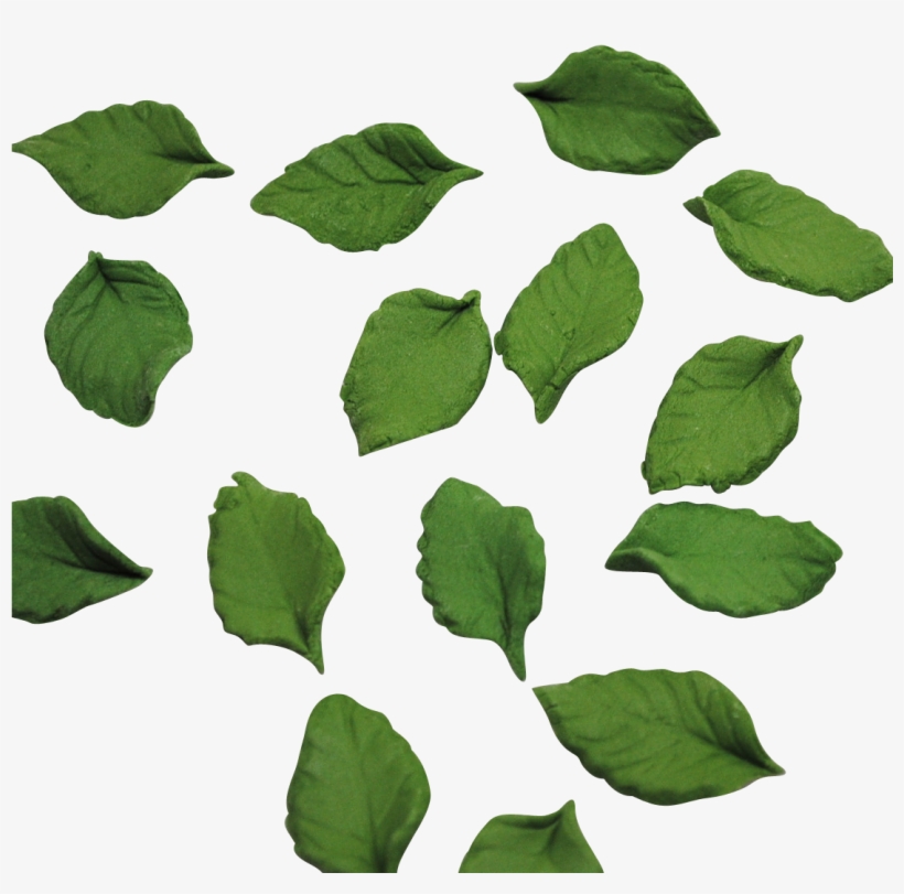 Mini Rose Leaves, transparent png #3261203