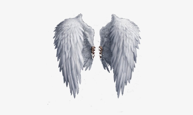 Angel Wings Png Photo - White Angel Wings Png, transparent png #3261297