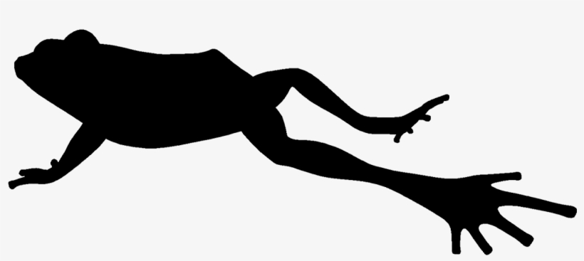 Silhouette Of Jumping Frog - Jumping Frog Png, transparent png #3261687