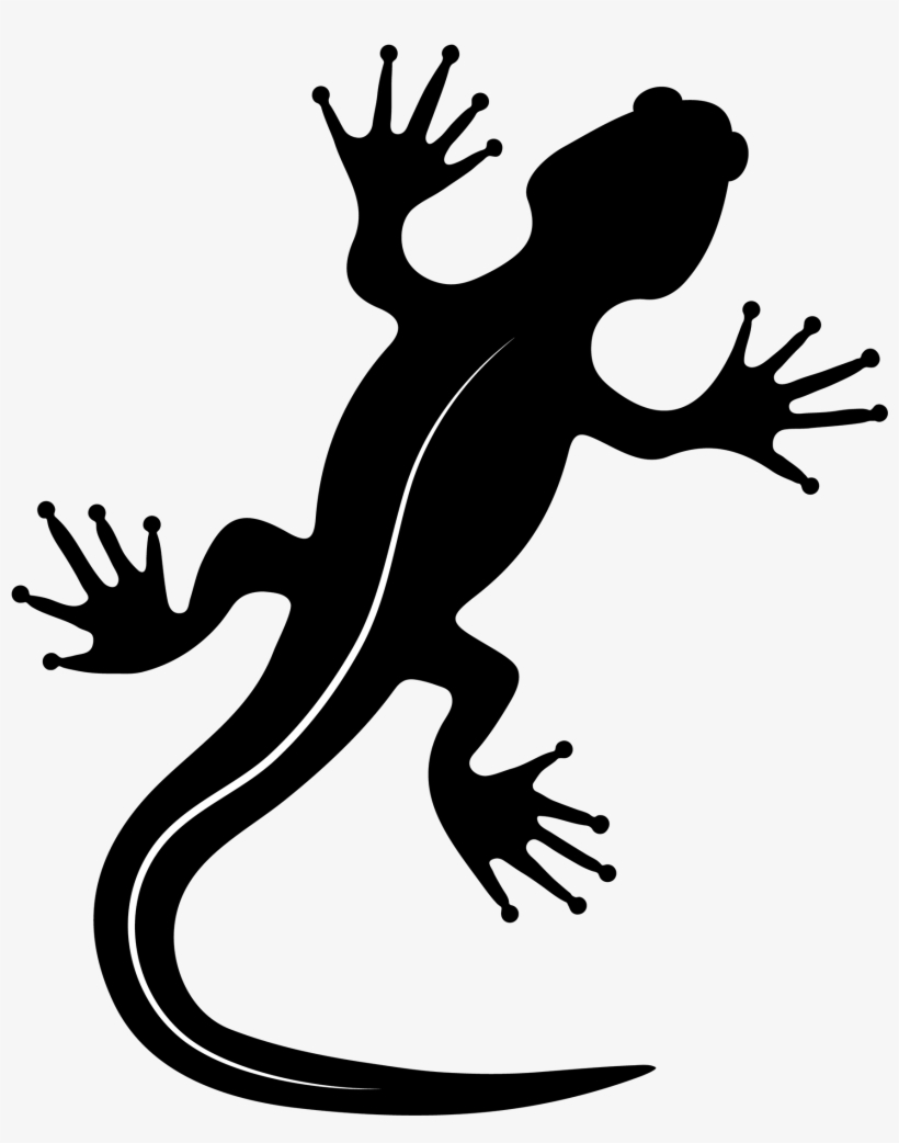 Adding A Word That Communicates Something About The - Lizard, transparent png #3261942