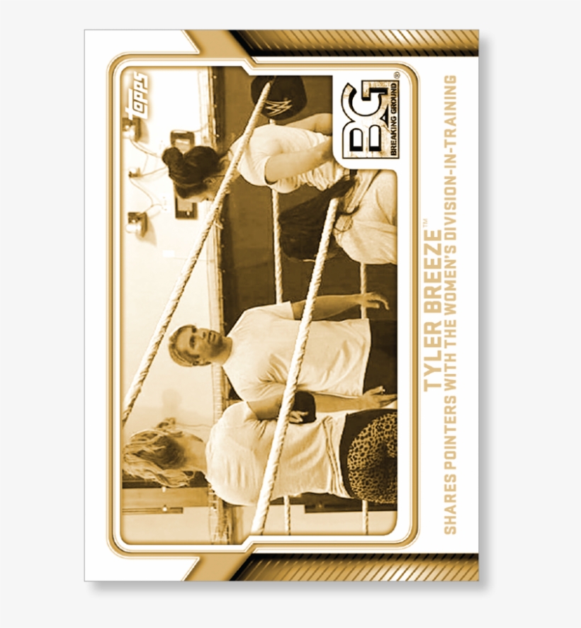 Tyler Breeze - Wwe, transparent png #3262758