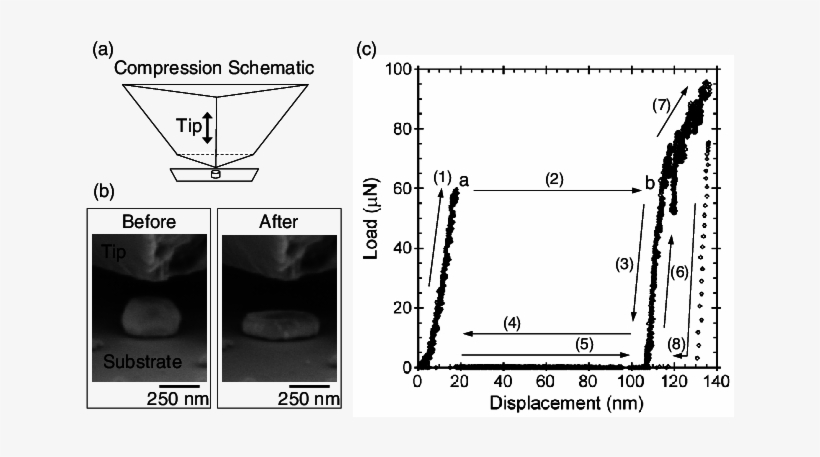 Compression Schematic Of Isolated, Single Crystal Gold - Nanoindenter, transparent png #3264137