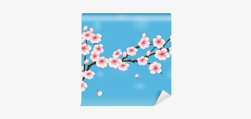 Vector Illustration Of Cherry Blossom Wall Mural • - Illustration, transparent png #3264758