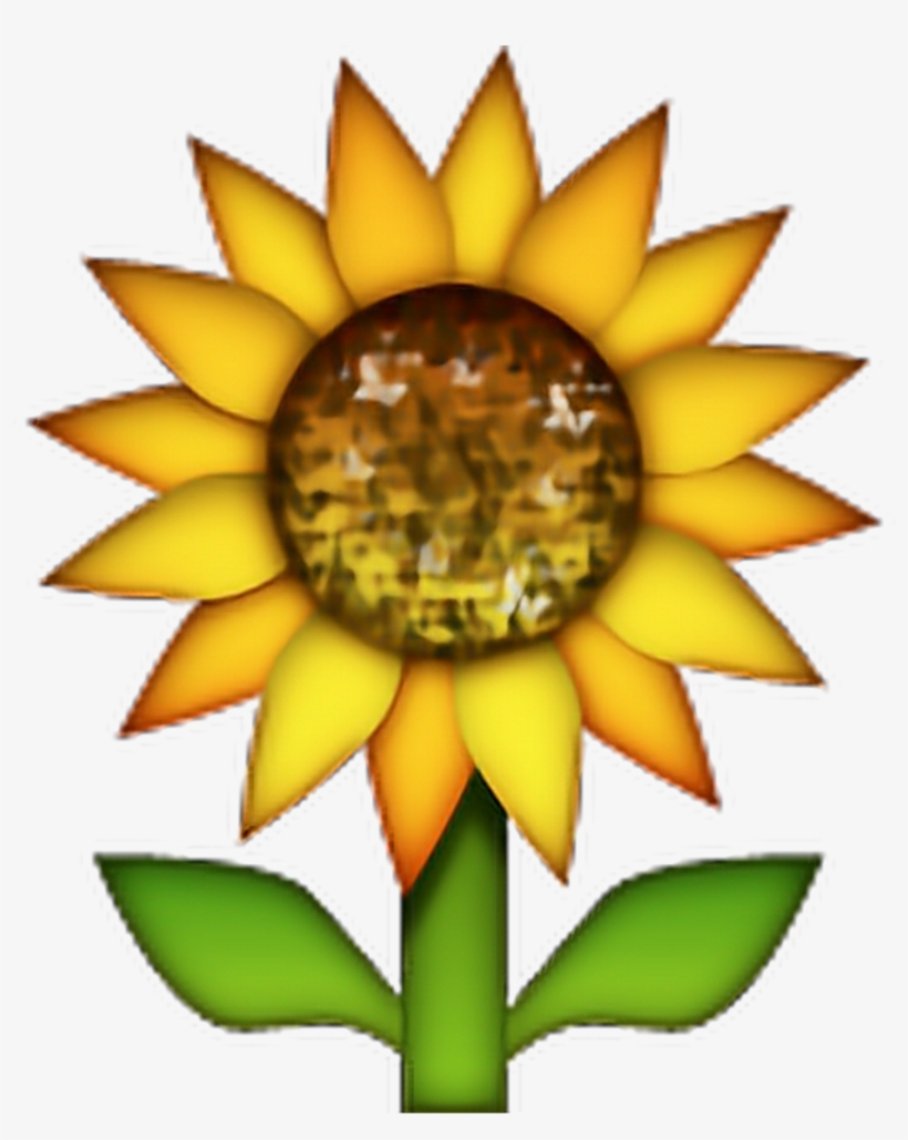 Sunflower Emoji Flowers Freetoedit - Sunflower Emoji, transparent png #3264999