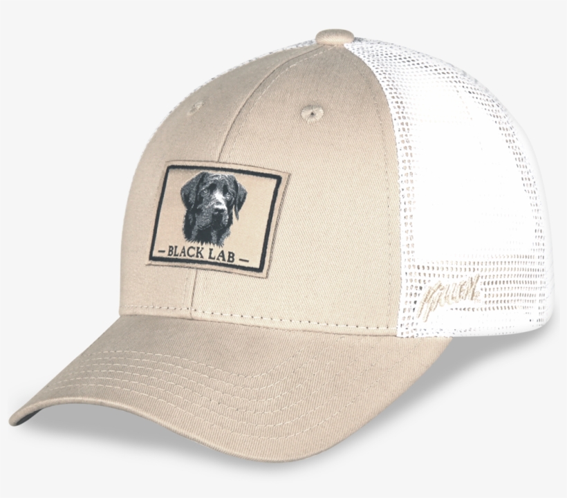 Black Lab Hat - Gills-n-game Hat, transparent png #3267175