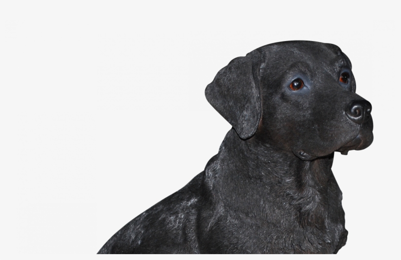 Brilliant Lighted Christmas Lawn Decorations Png Black - Black Labrador Real Life Resin Ornament By Vivid Arts, transparent png #3267219
