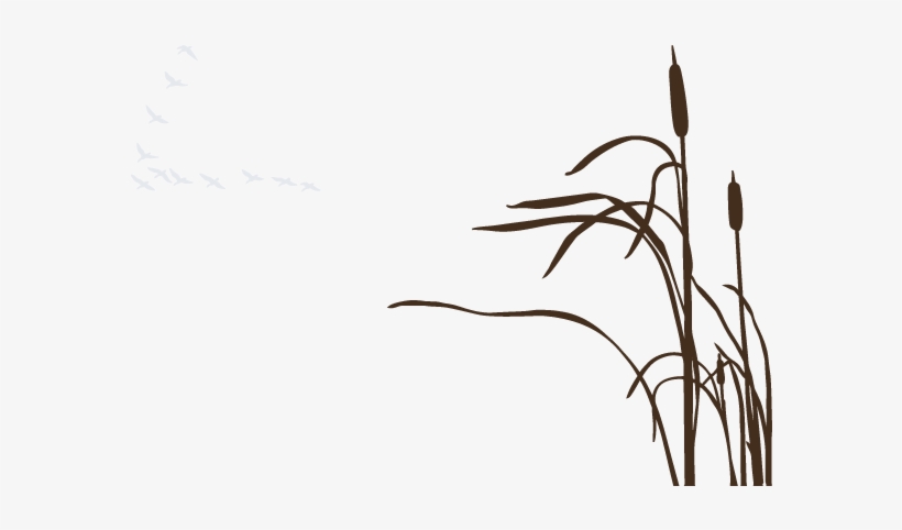 Buscar Con Google - Reed Silhouette, transparent png #3267319