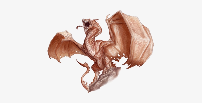 What Do You Know About Wyvern - Dnd 5e Wyvern Stats, transparent png #3267487
