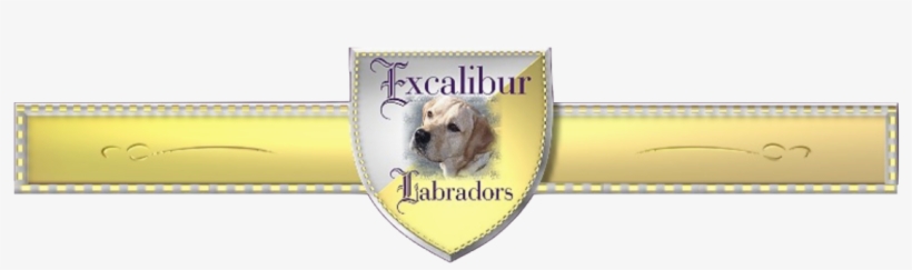 Excalibur Labradors - Labrador Retriever, transparent png #3267591