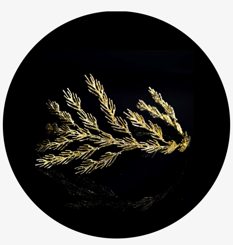 Espigas Doradas - Msr008, transparent png #3267793
