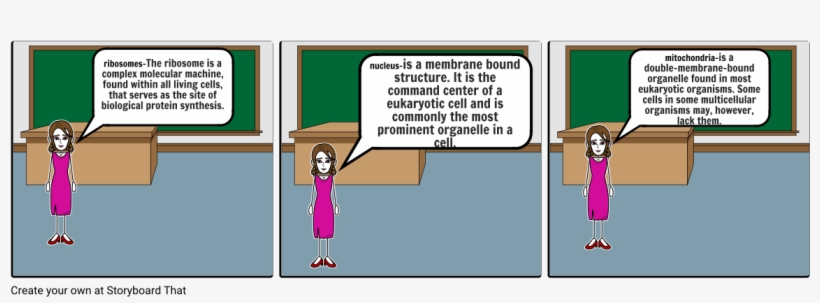 Plant Cell - Cartoon, transparent png #3268043