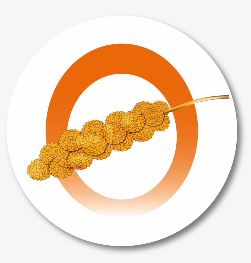 Inicie - Som, transparent png #3268139