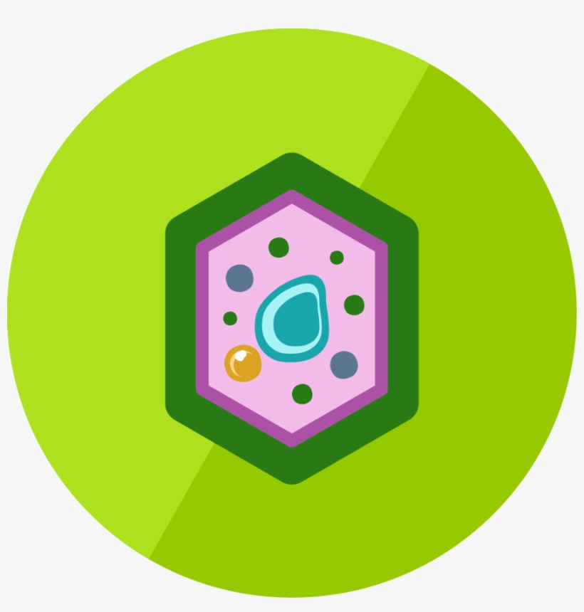 The Plant Cell - Plant Cell Icon, transparent png #3268143