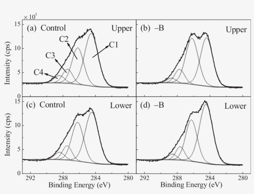 Deconvoluted High Resolution Xps C1s Spectrum Of Control - Plants, transparent png #3268173