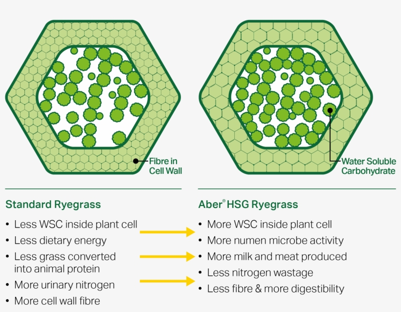Get In Touch - Hexagon Geometry, transparent png #3268639