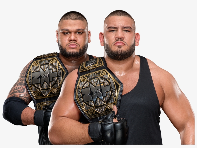 Professional Wrestling - Visit - Authors Of Pain Nxt Tag Champions, transparent png #3268897