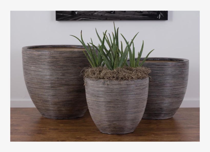 Setai Planters Cinder - Flowerpot, transparent png #3270677