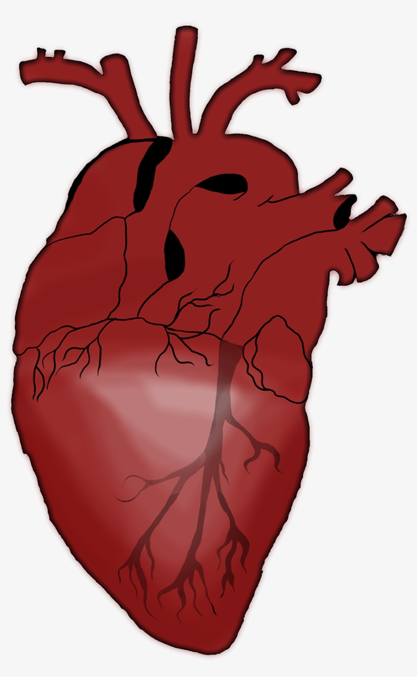 I Took A Reference Picture , And I Simplified It - Illustration, transparent png #3270763