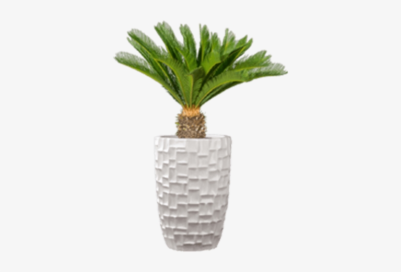 Fiber Glass Planters Crystal White - Fiberglass, transparent png #3270764