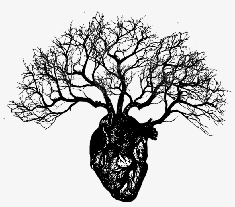 Heart Tree - Human Heart With Branches, transparent png #3270887