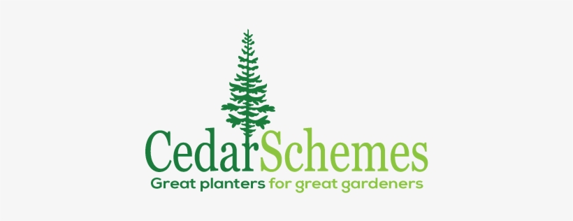 Cedarschemes Makes Natural Cedar Planters And Garden - Christmas Tree, transparent png #3271099