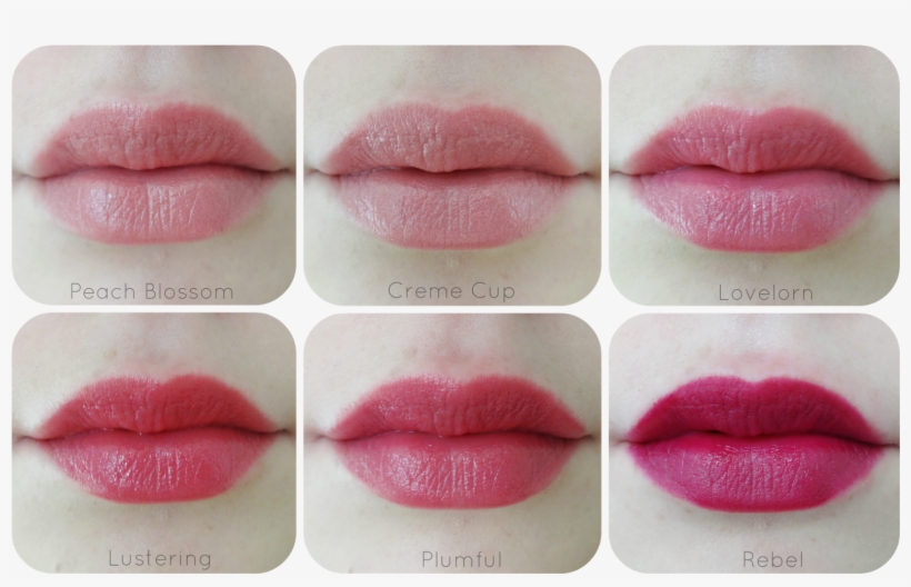 Obviously The Colours Will Be Different On Different - Fair Skin Peach Blossom Mac, transparent png #3272077