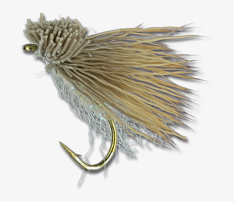 Fat Head Moth - Pest, transparent png #3273785