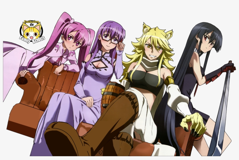 Akame Ga Kill Desktop Wallpaper - Akame Ga Kill Personajes, transparent png #3273863