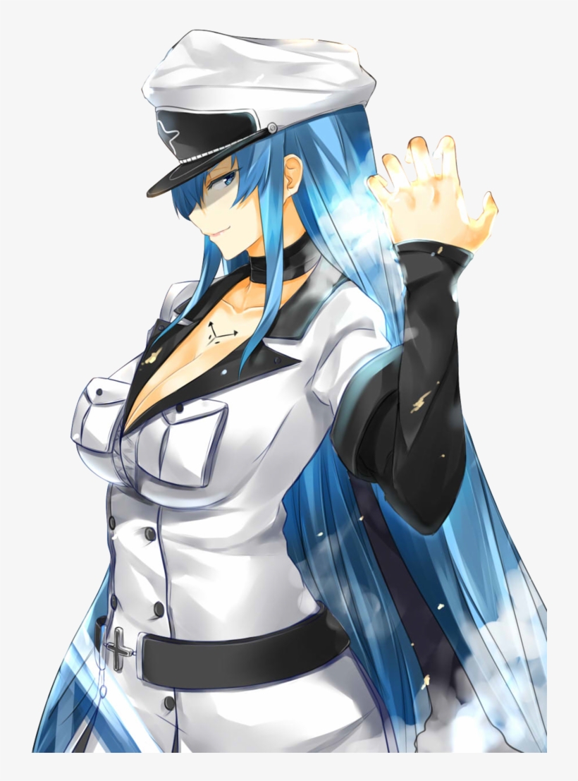 Akame Ga Kill - Akame Ga Kill Esdeath Png, transparent png #3273913