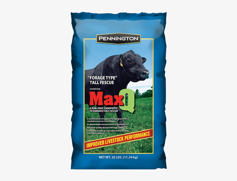 Penn Max Q - Pennington Kentucky 31 Tall Fescue Grass Seed, 3 Lbs,, transparent png #3273955