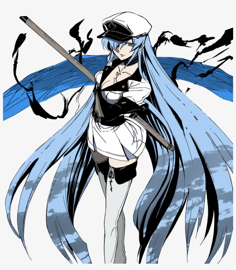 Akame Ga Kill Posted, Swell With Sadism - Akame Ga Kill Anime Wall Print Poster Decor 32x24, transparent png #3274236