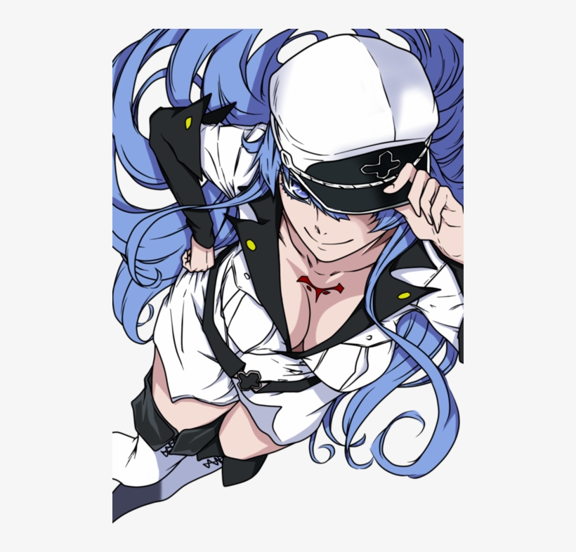 Akame Ga Kill And Esdese Image - Akame Ga Kill!, transparent png #3274355