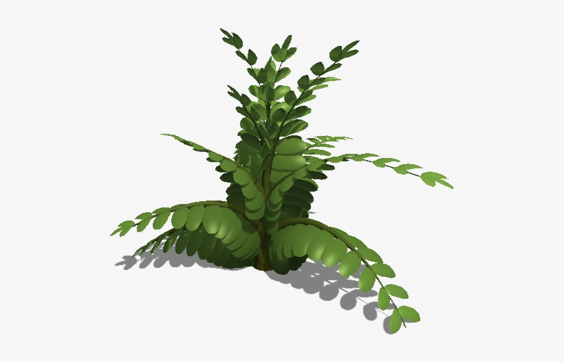 Fern Leaf Colours - Fern, transparent png #3274656