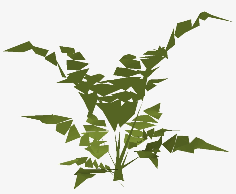 Fern Built - Wiki, transparent png #3274773
