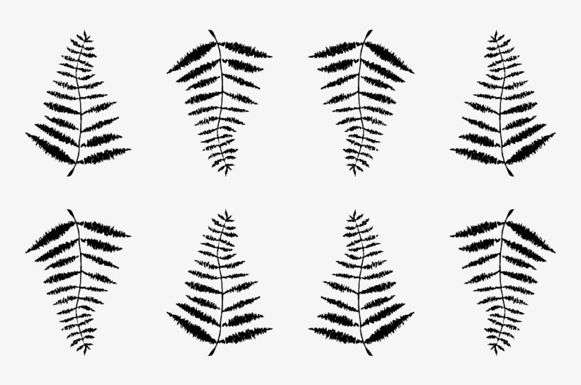 Fern, transparent png #3274858