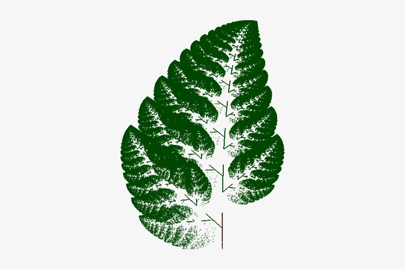 Fern1 - Illustration, transparent png #3274997