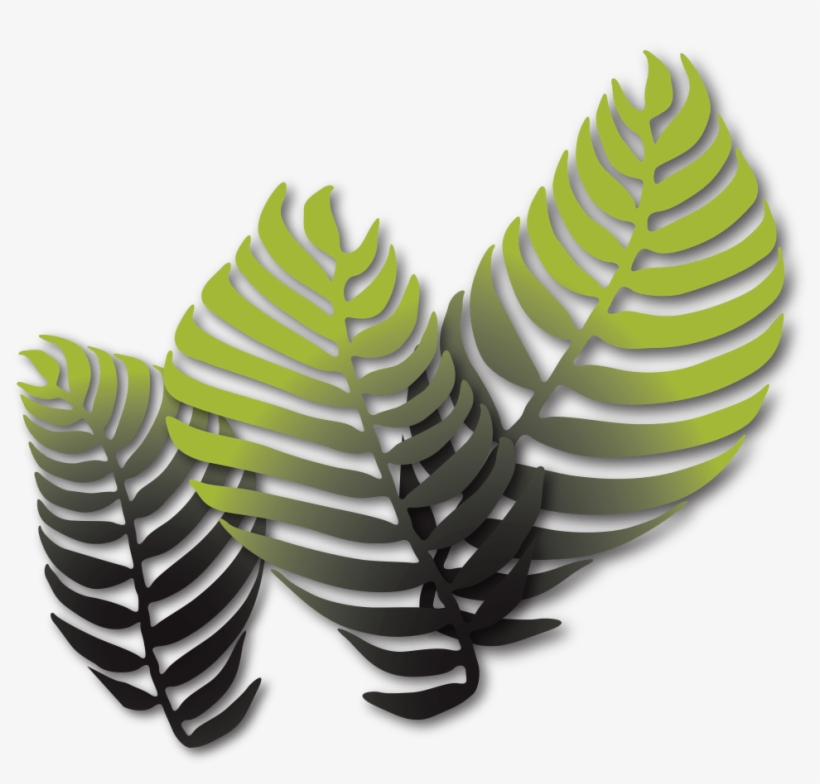 For - Museum, transparent png #3275098