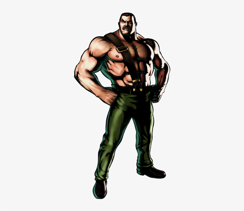 No Caption Provided No Caption Provided No Caption - Final Fight Mike Haggar, transparent png #3276565
