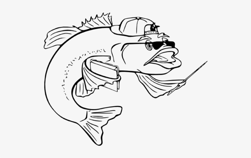 Nobody Does Big Fish Like A1 Big Fish Charters - /m/02csf, transparent png #3277372