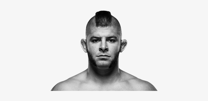 Statistics, transparent png #3277375