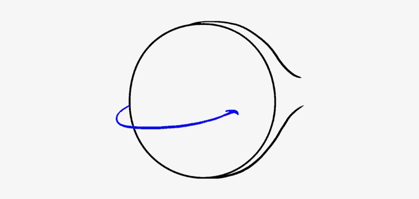 How To Draw Cartoon Fish - Circle, transparent png #3277422